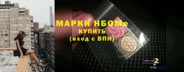 прущие грибы Вяземский
