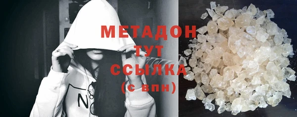 прущие грибы Вяземский