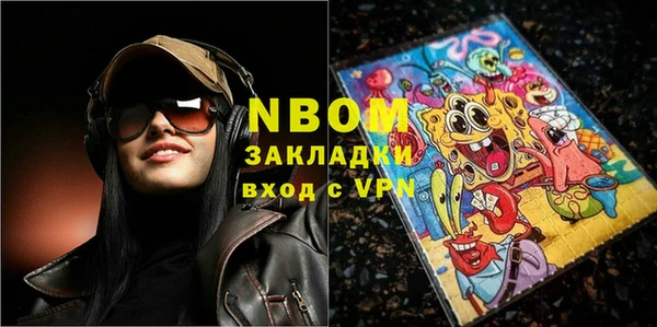 прущие грибы Вяземский
