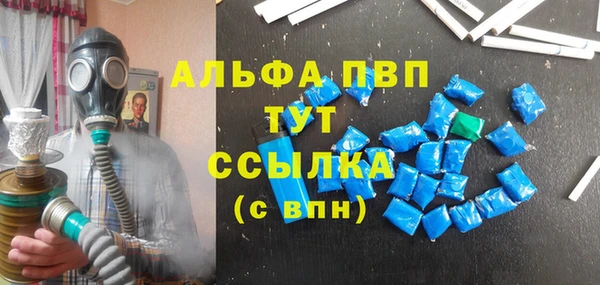 прущие грибы Вяземский