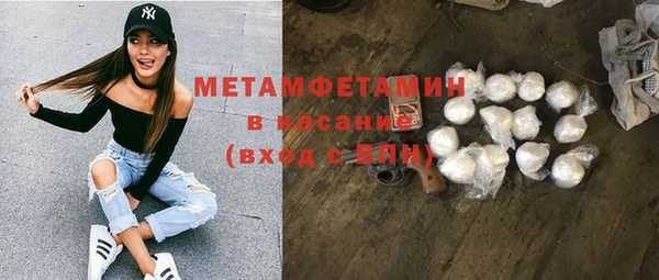 прущие грибы Вяземский