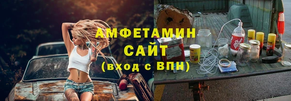 прущие грибы Вяземский