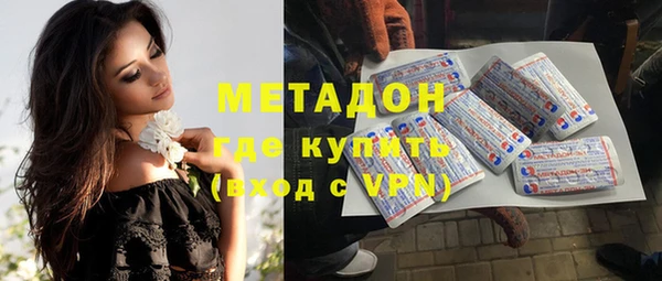 прущие грибы Вяземский