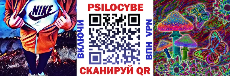 Галлюциногенные грибы Psilocybe  Купить закладки  Камышлов 